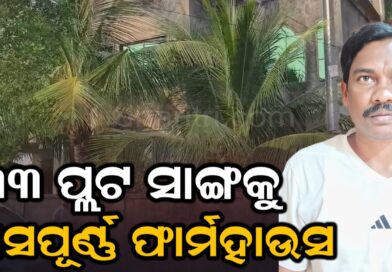 ଭିଜିଲାନ୍ସ ଜାଲରେ ପିଡବ୍ଲୁଡି ସହକାରୀ କାର୍ଯ୍ୟ ନିର୍ବାହୀ ଯନ୍ତ୍ରୀ
