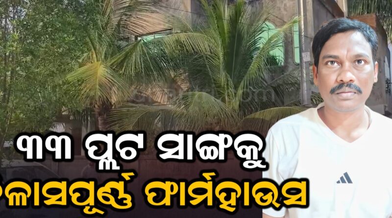 ଭିଜିଲାନ୍ସ ଜାଲରେ ପିଡବ୍ଲୁଡି ସହକାରୀ କାର୍ଯ୍ୟ ନିର୍ବାହୀ ଯନ୍ତ୍ରୀ
